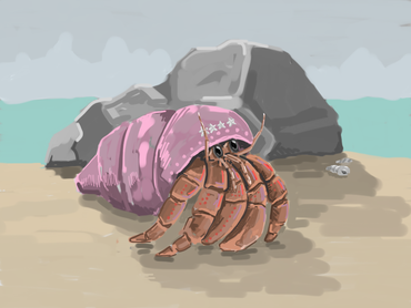 Hermit T. Crab