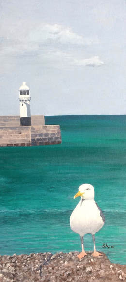 Sea Gull in St Ives