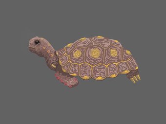 Turtle iPad Painting